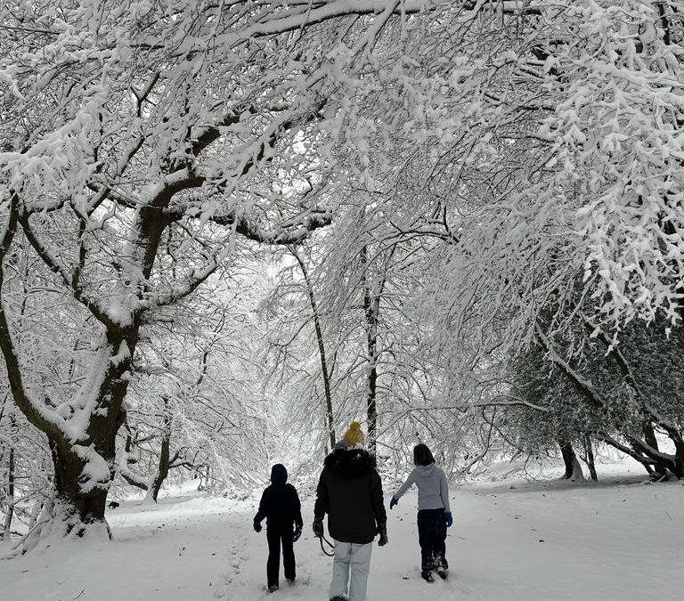 Snow Day!